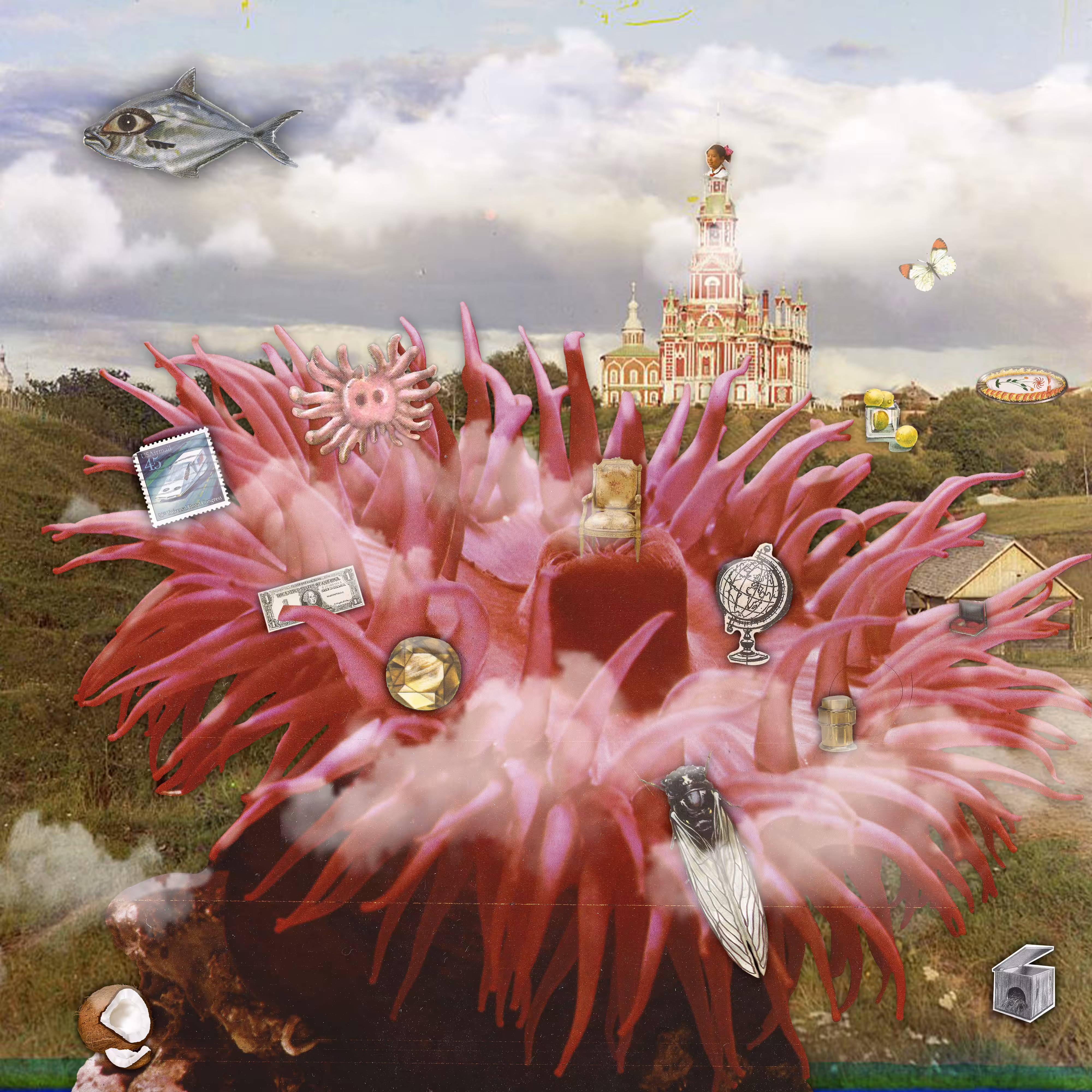 Simbiosis II