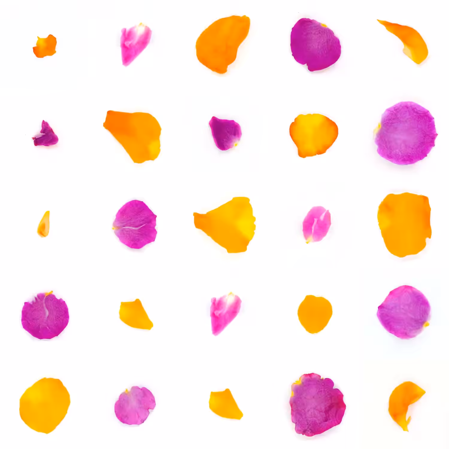 Infinite Petals 5x5#79