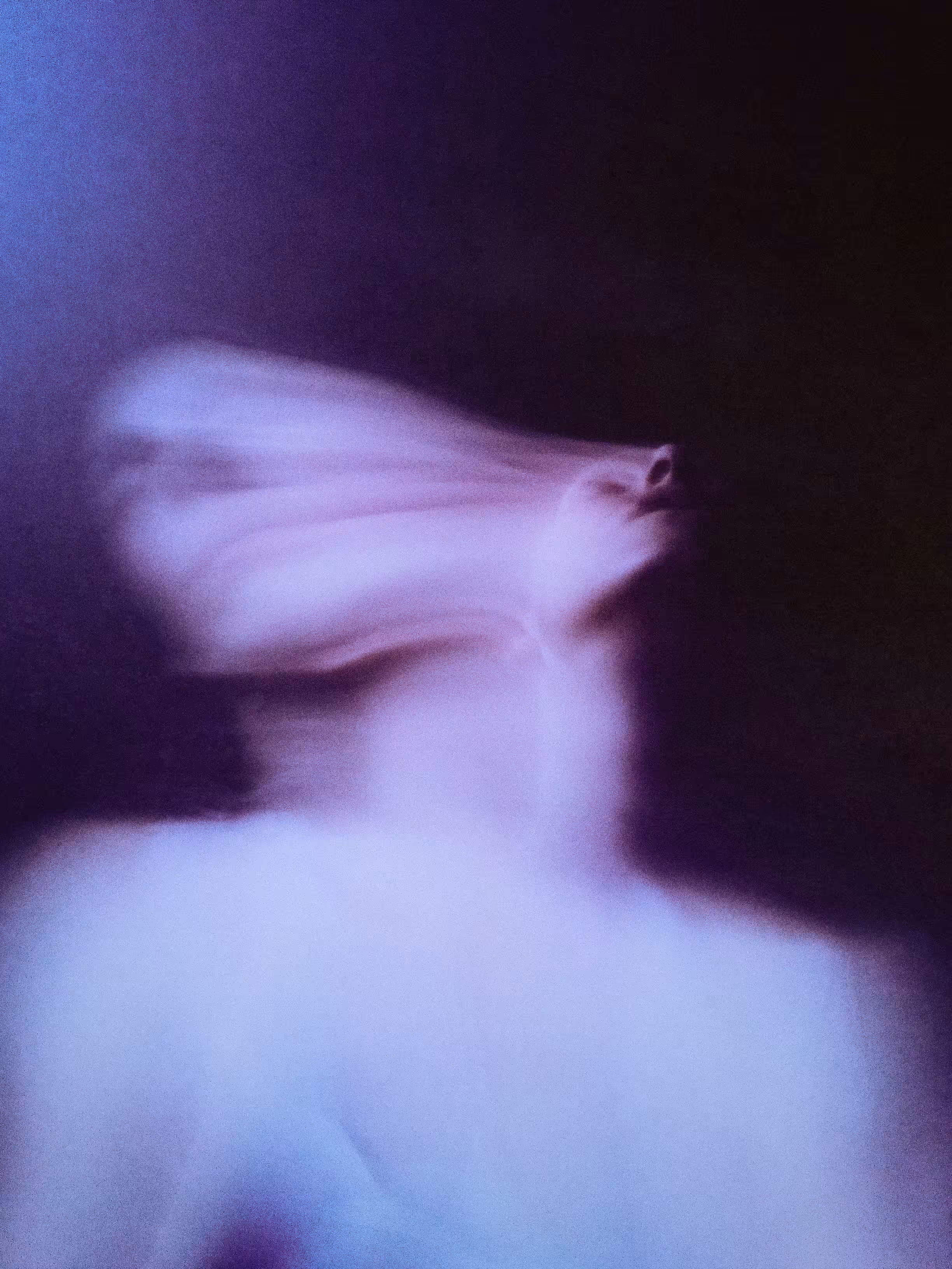 A3