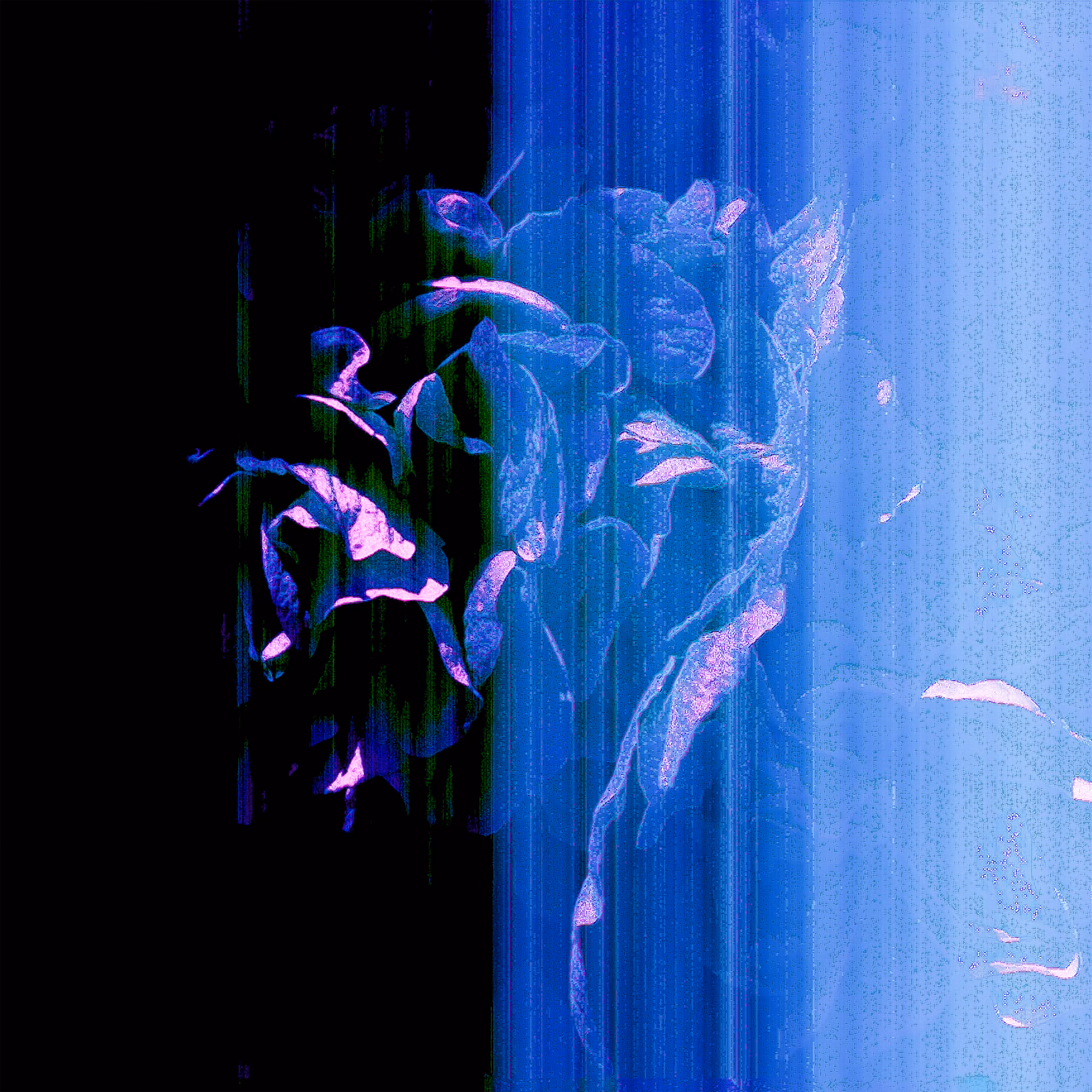 Shadow and Ice