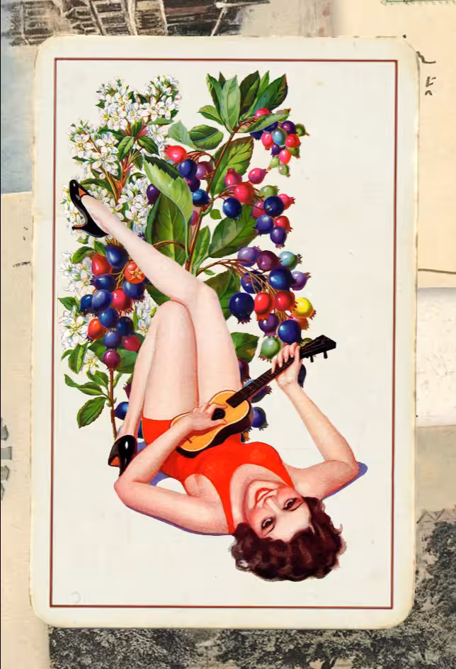 Paper Pinups #27