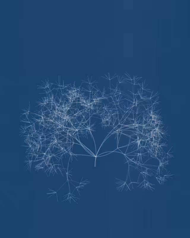 Cyanotypes #277