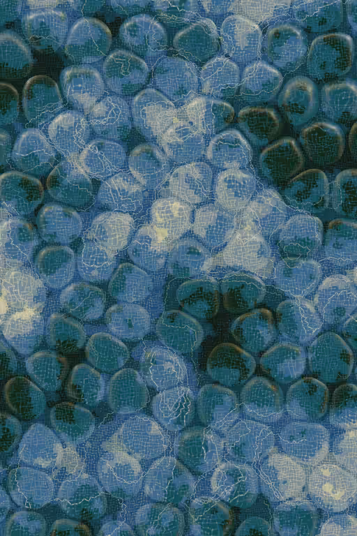Vitreous