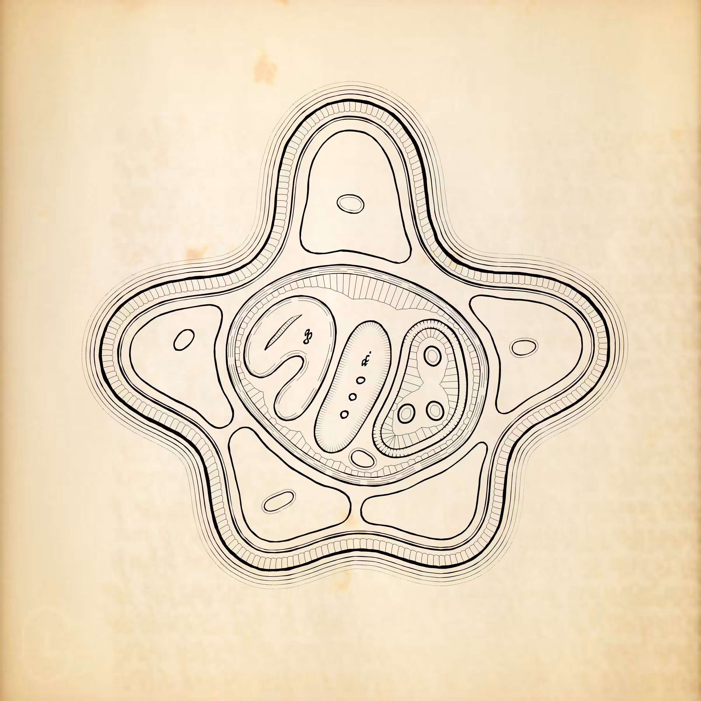 Cytographia #287