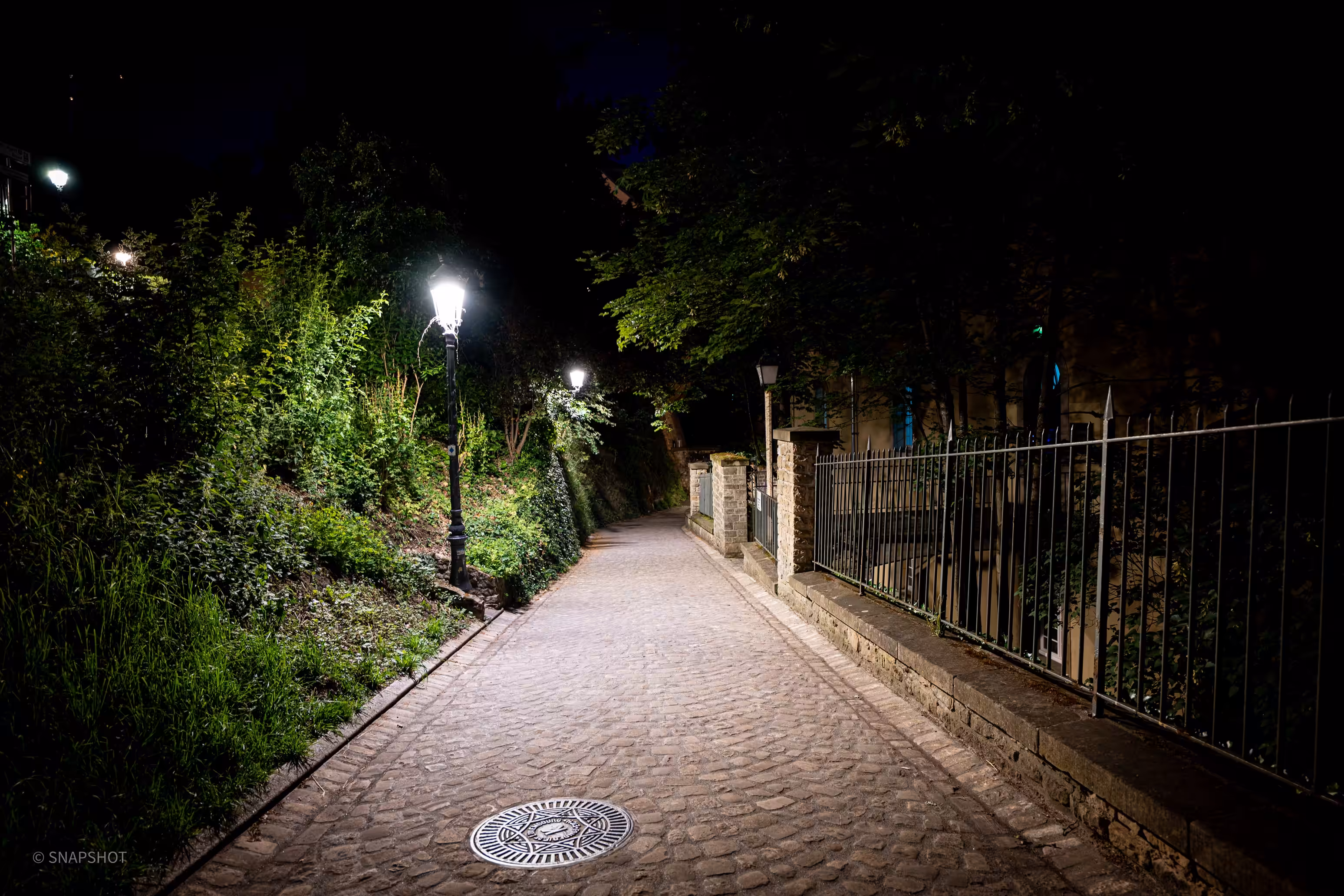 NIGHWALK: WalkLights