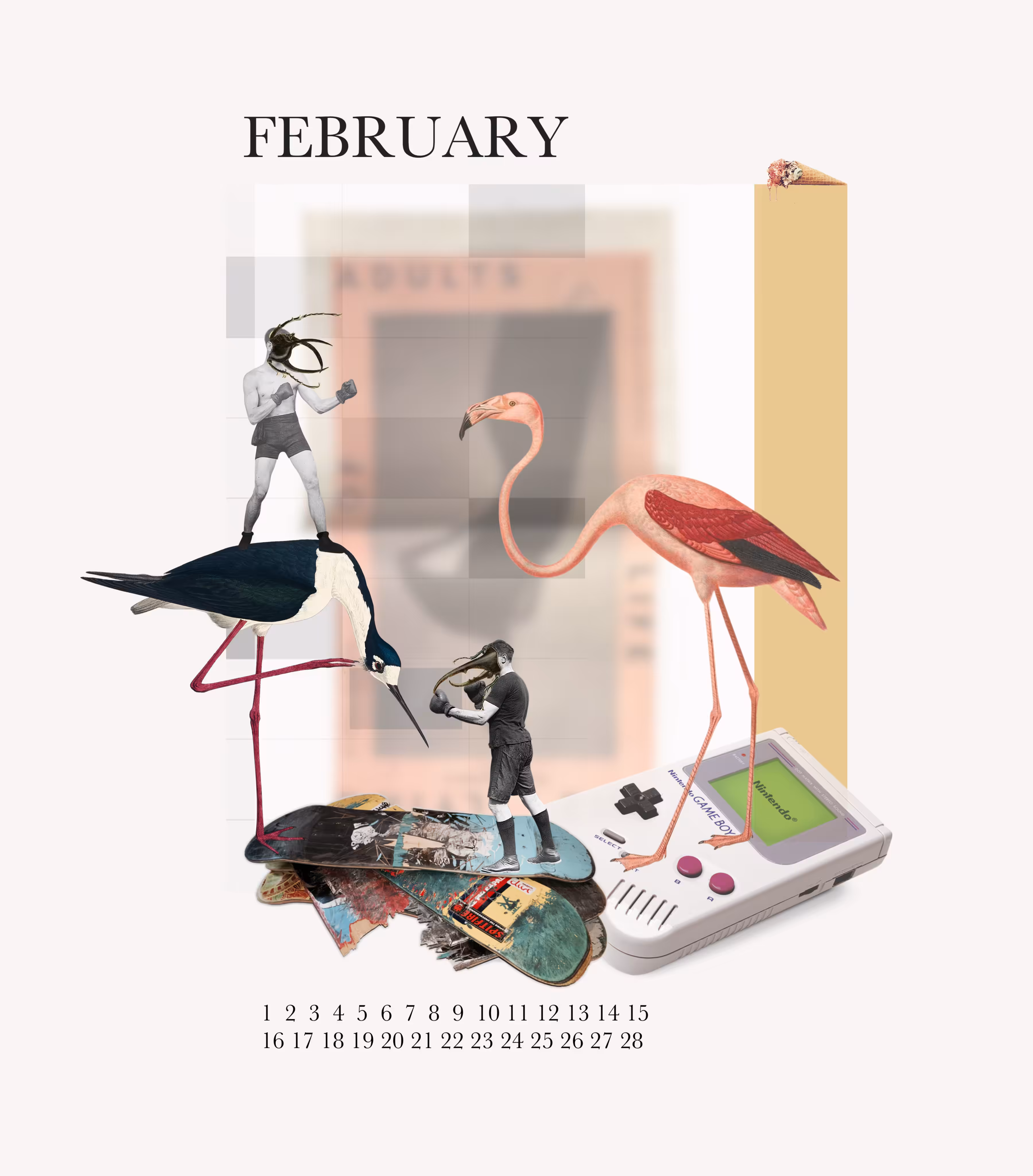 FEBRUARY