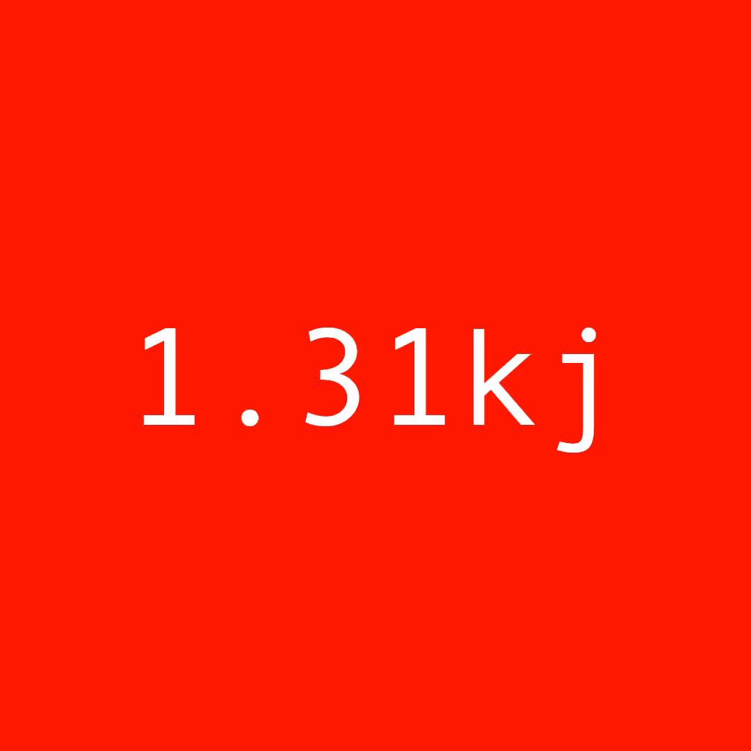 1.31kj
