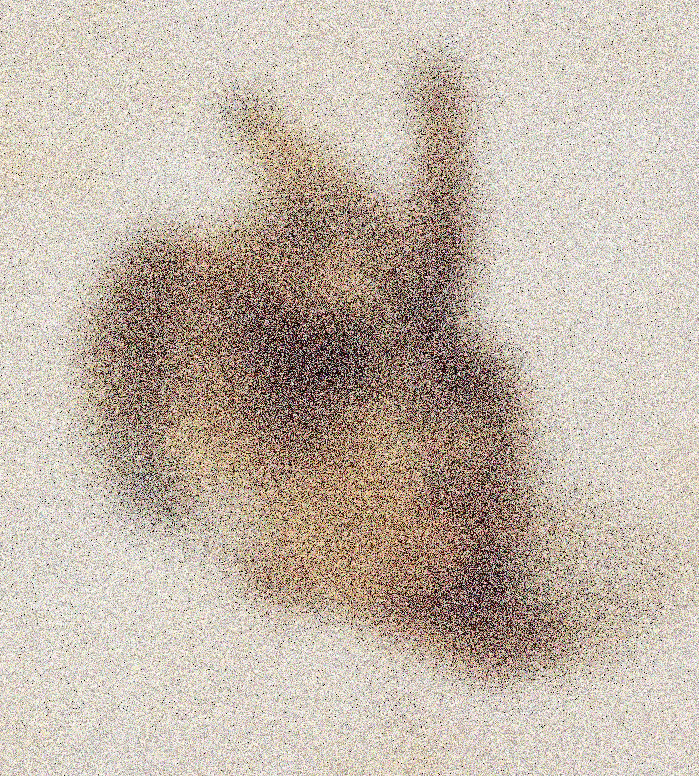 LEPROTTO