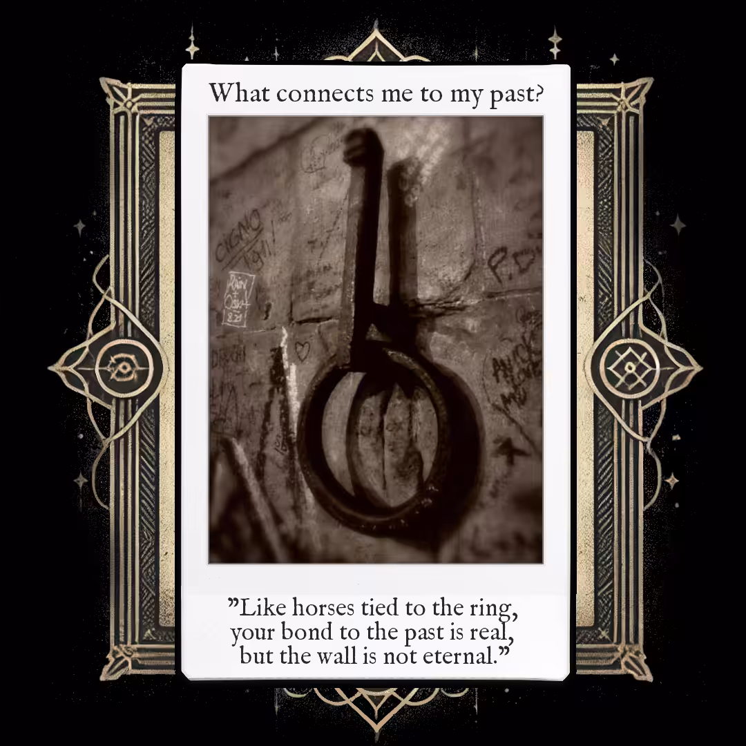 The Oracle: The Knot