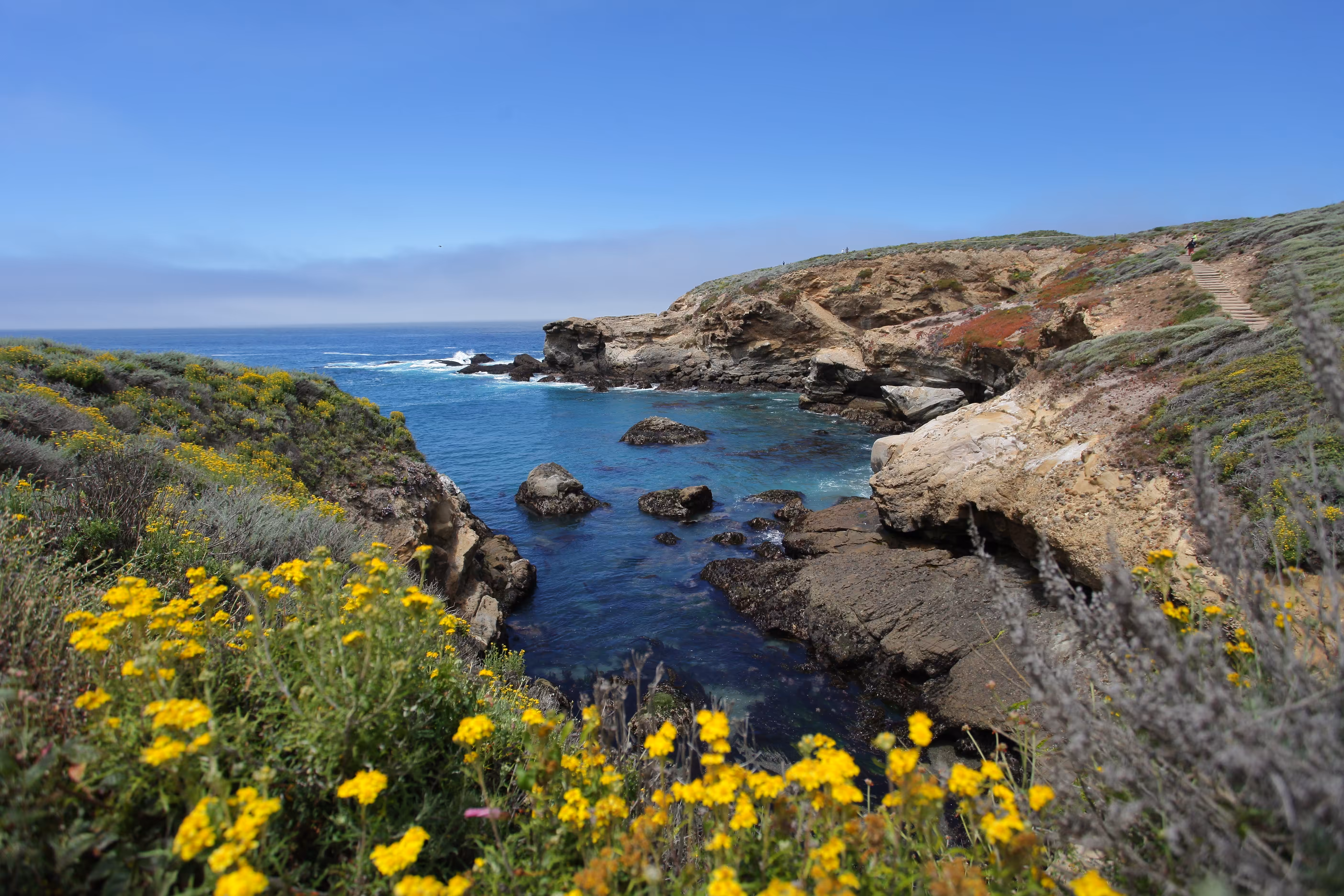 Point Lobos