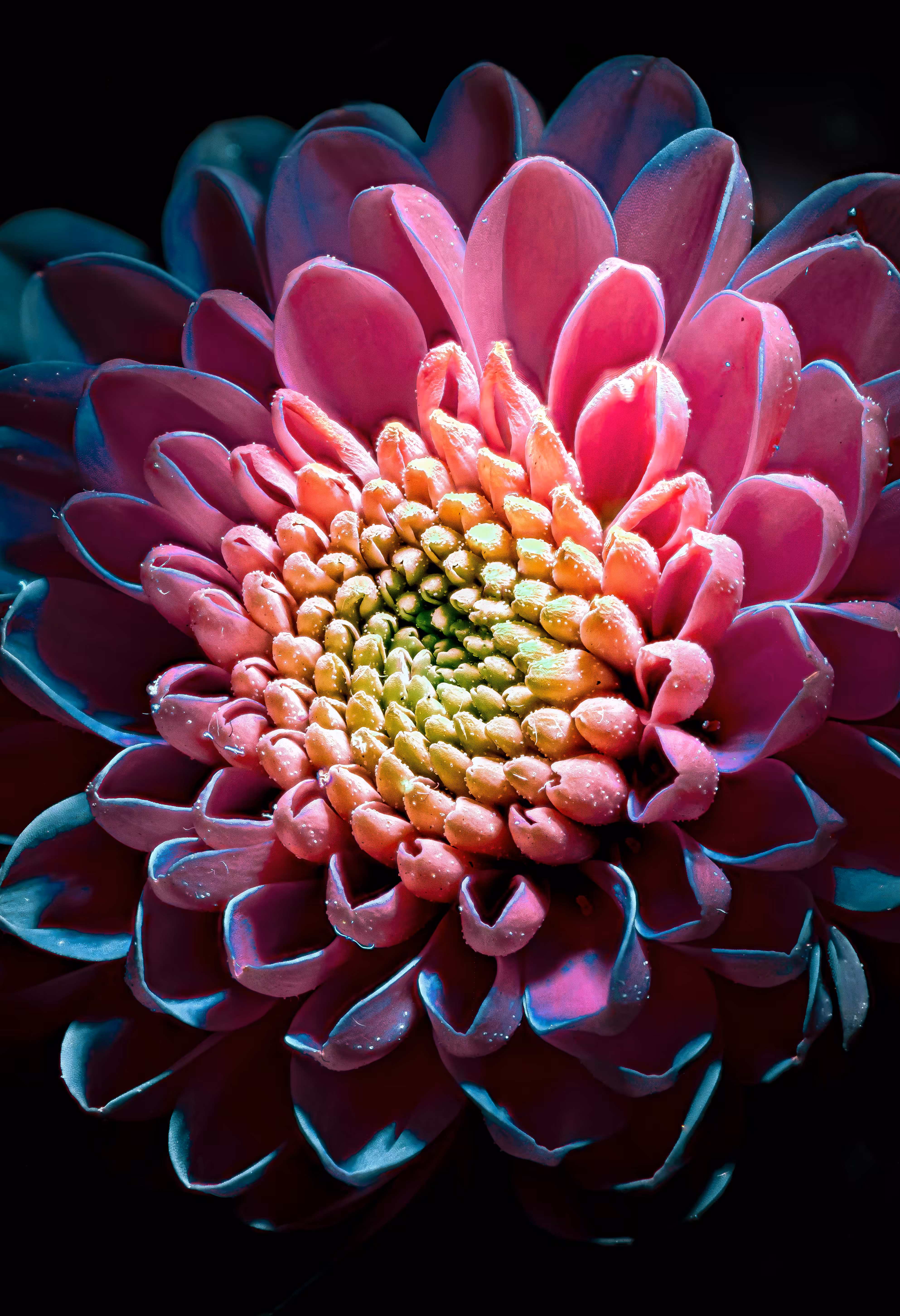 06/04 • 2022