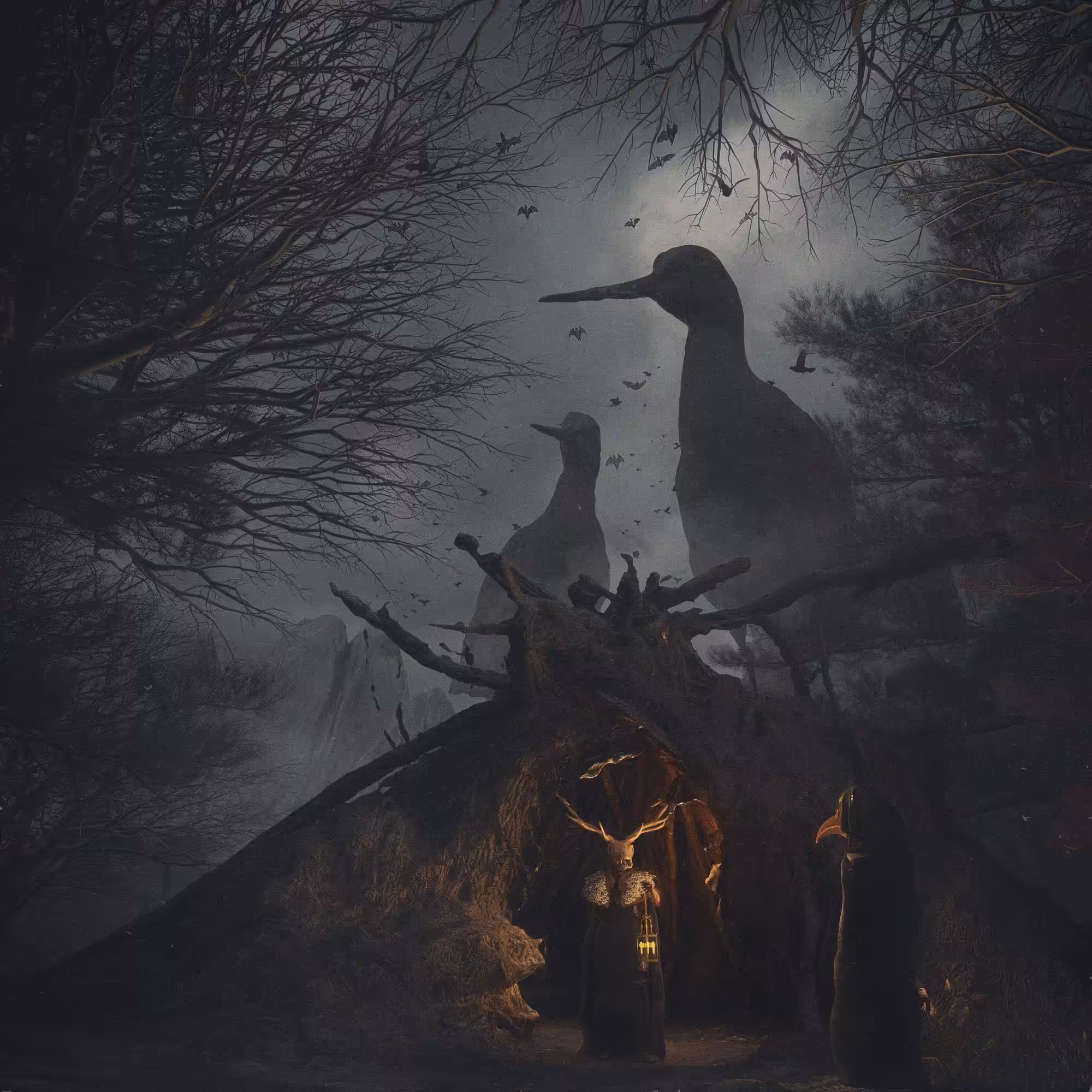 The woods