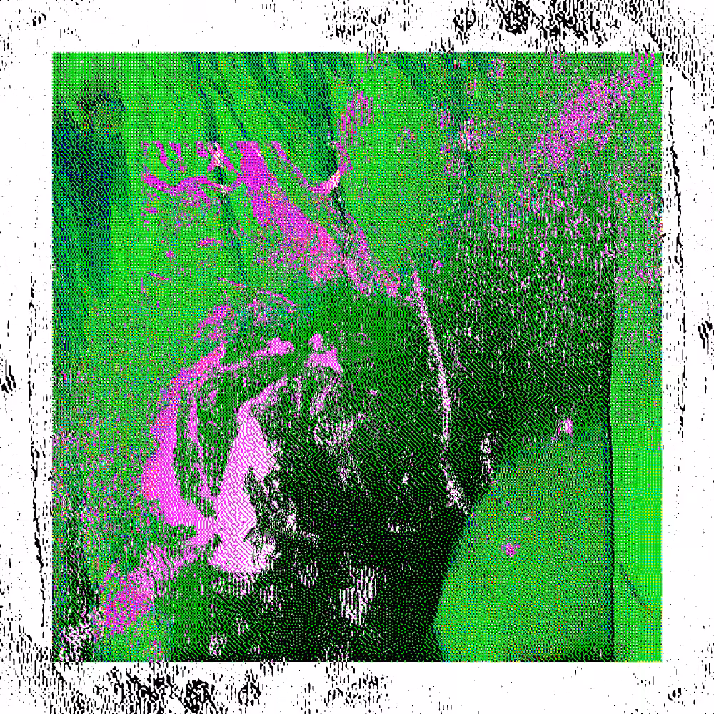 CHX-1 #10