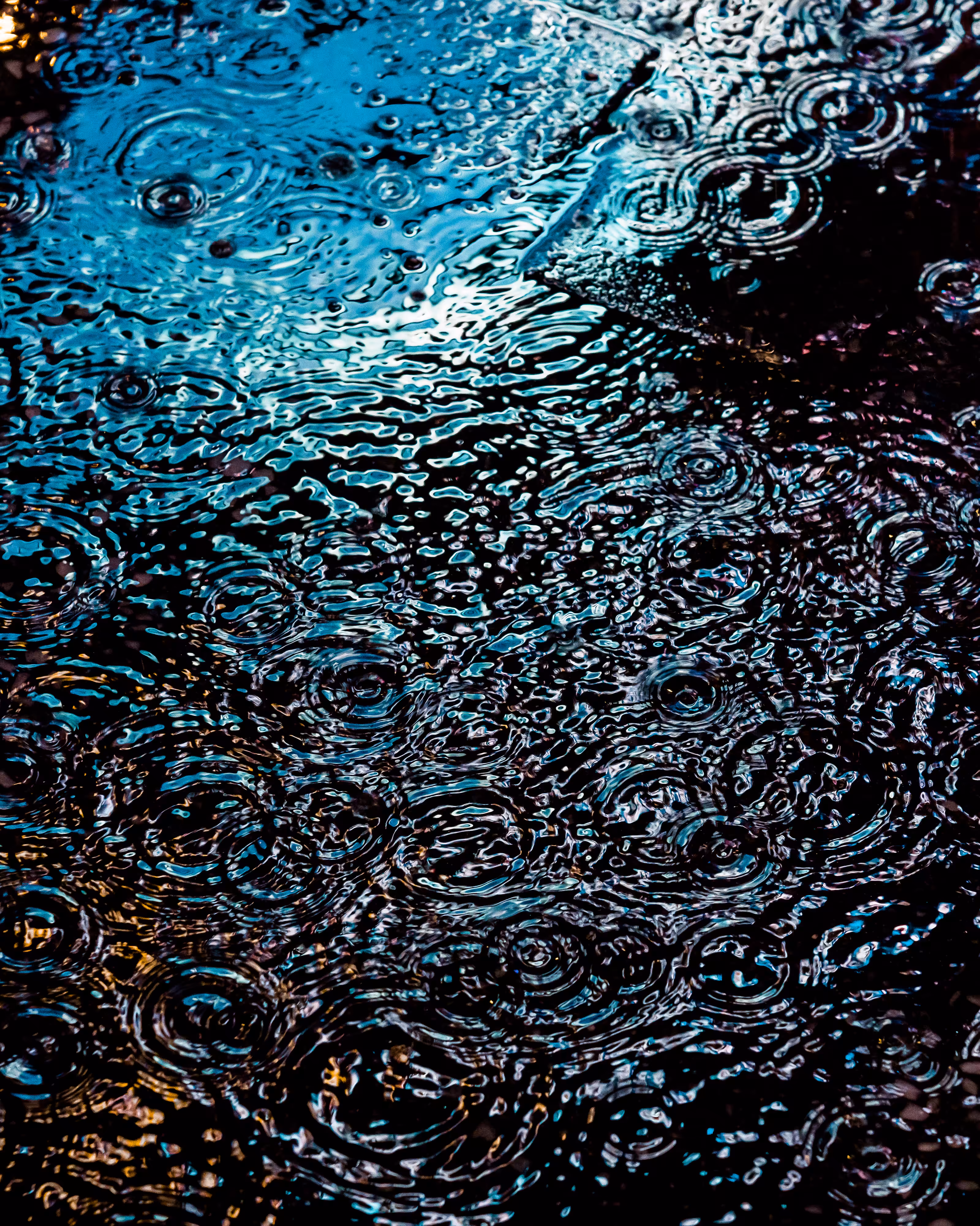 DRIP DROP: DRIP #720