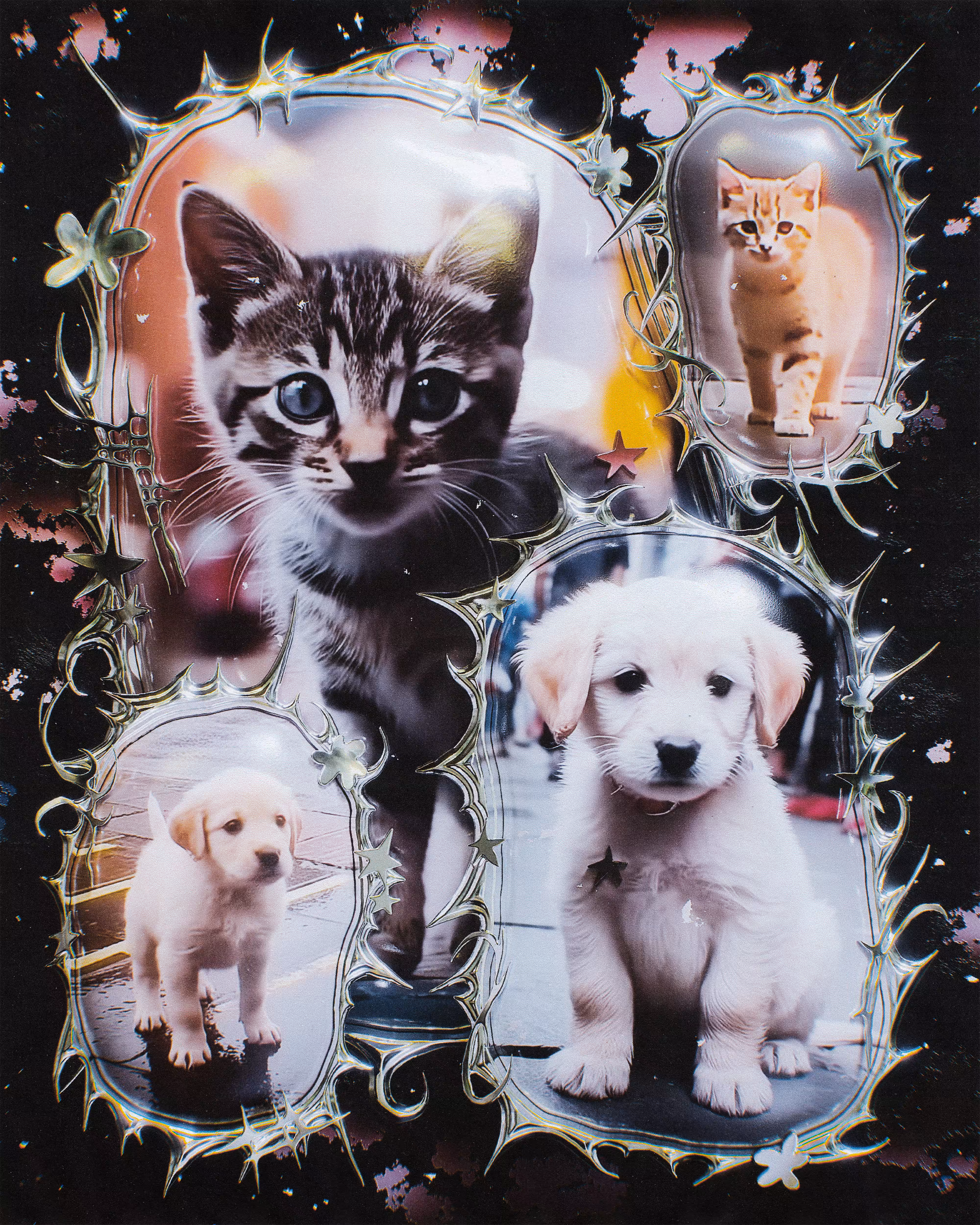 kittens & puppies