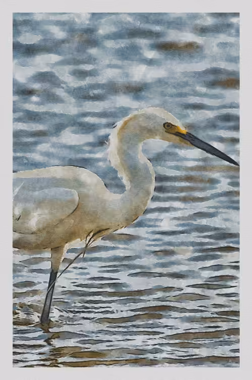 Watercolored Photography: Watercolored 062