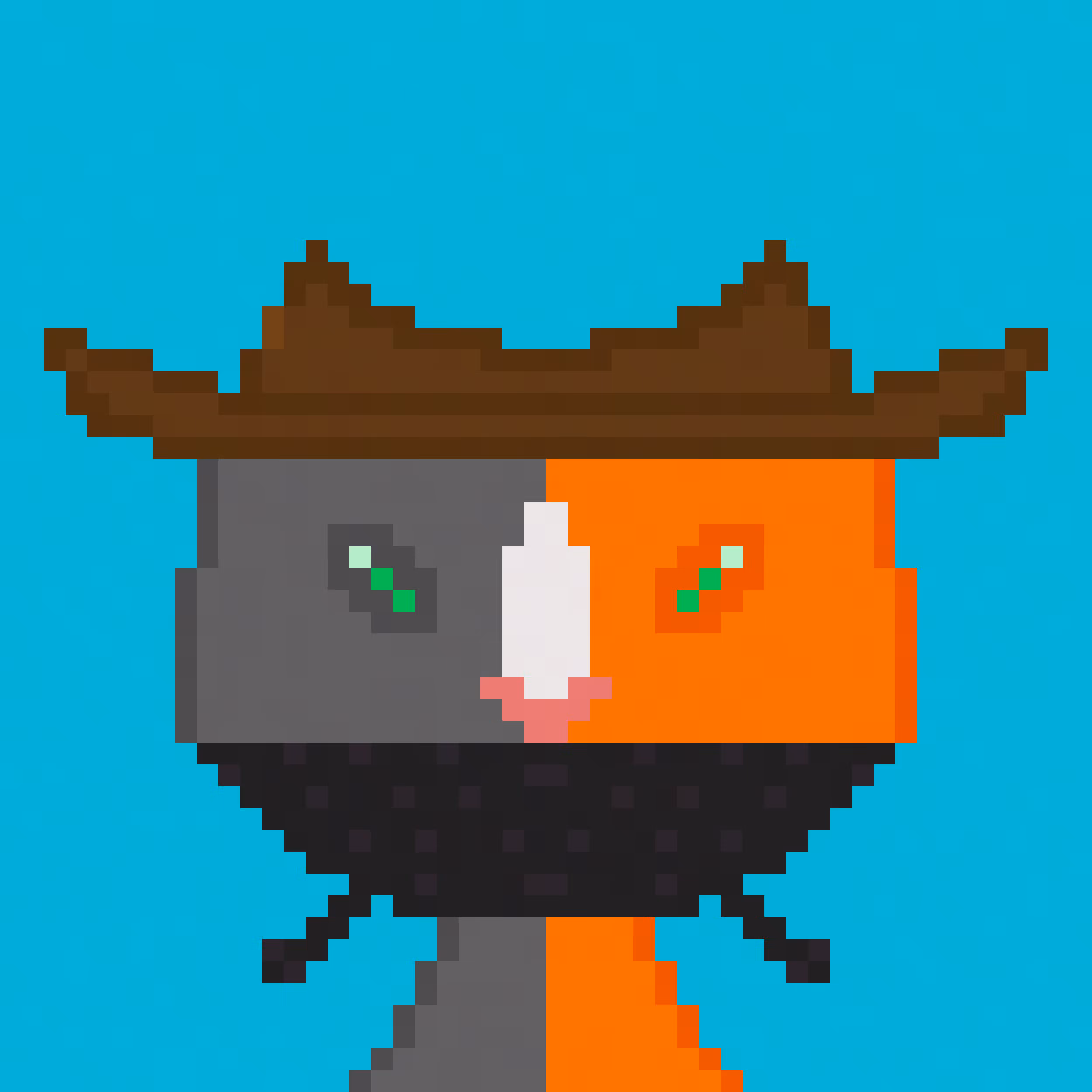 Cowboy Cat #9