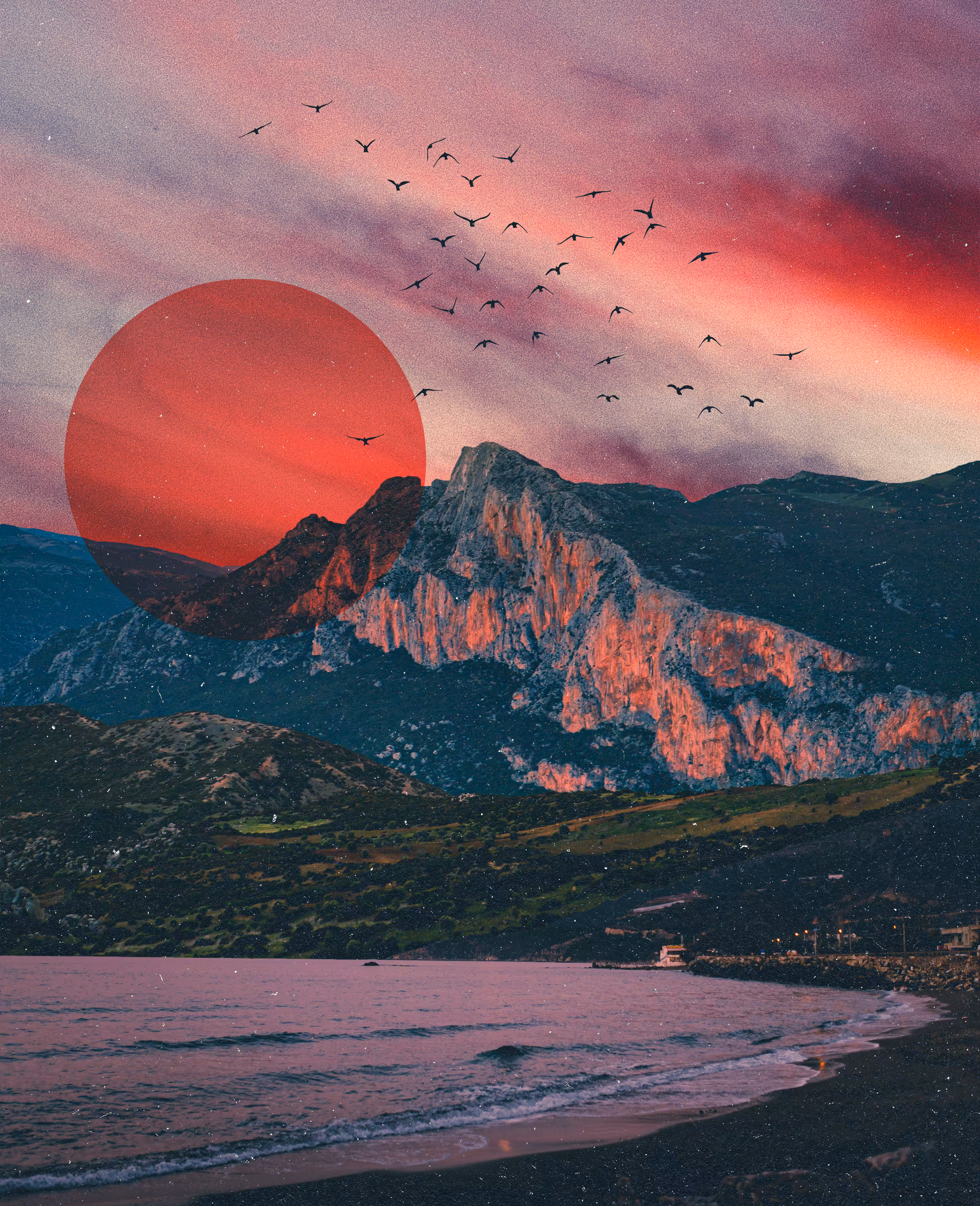 Pink Postcard, 2021