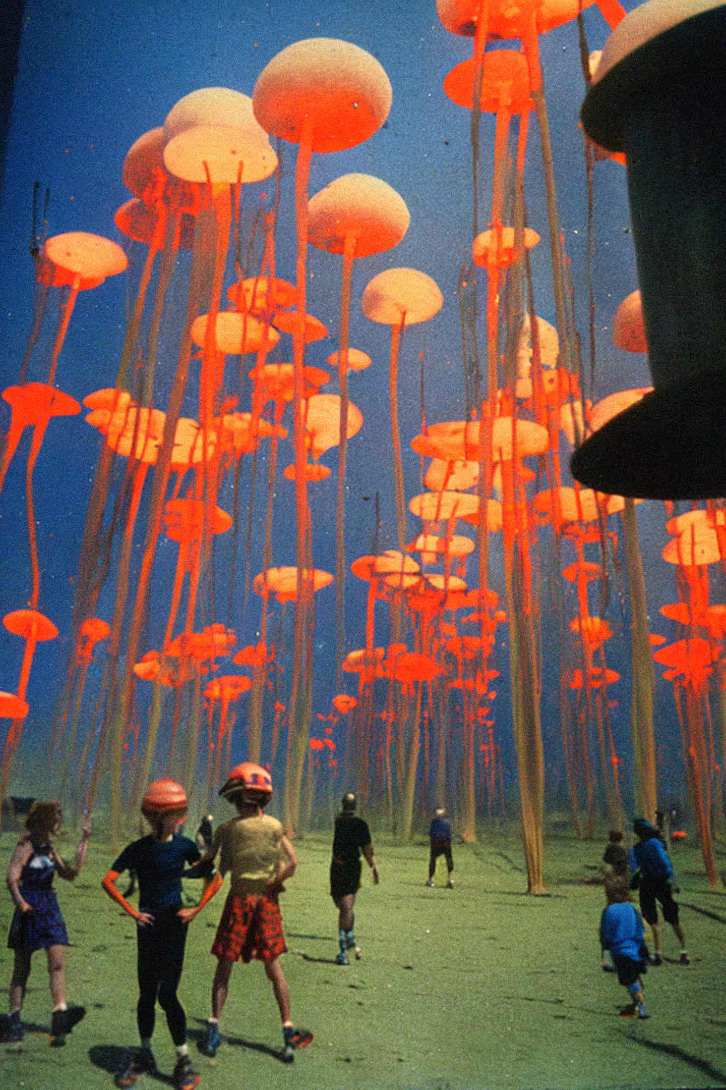 The Bioluminescent Forest