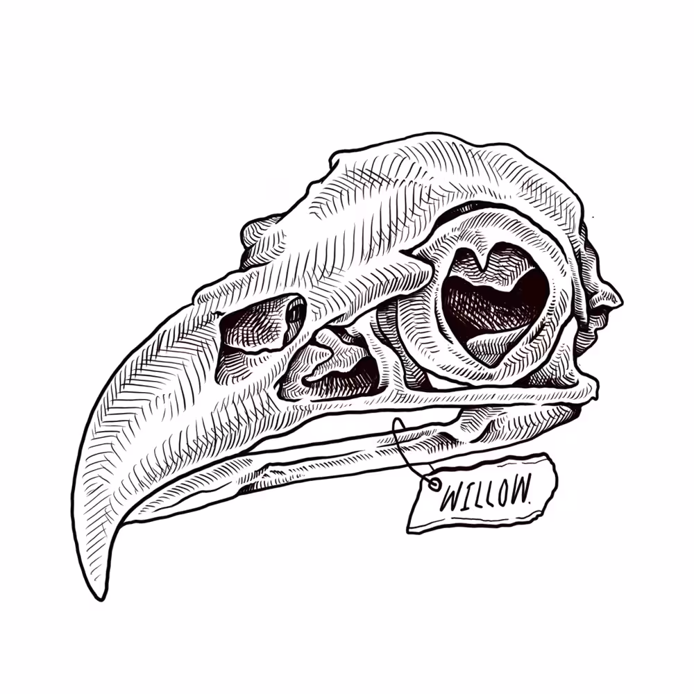 WILLOW-SKULL