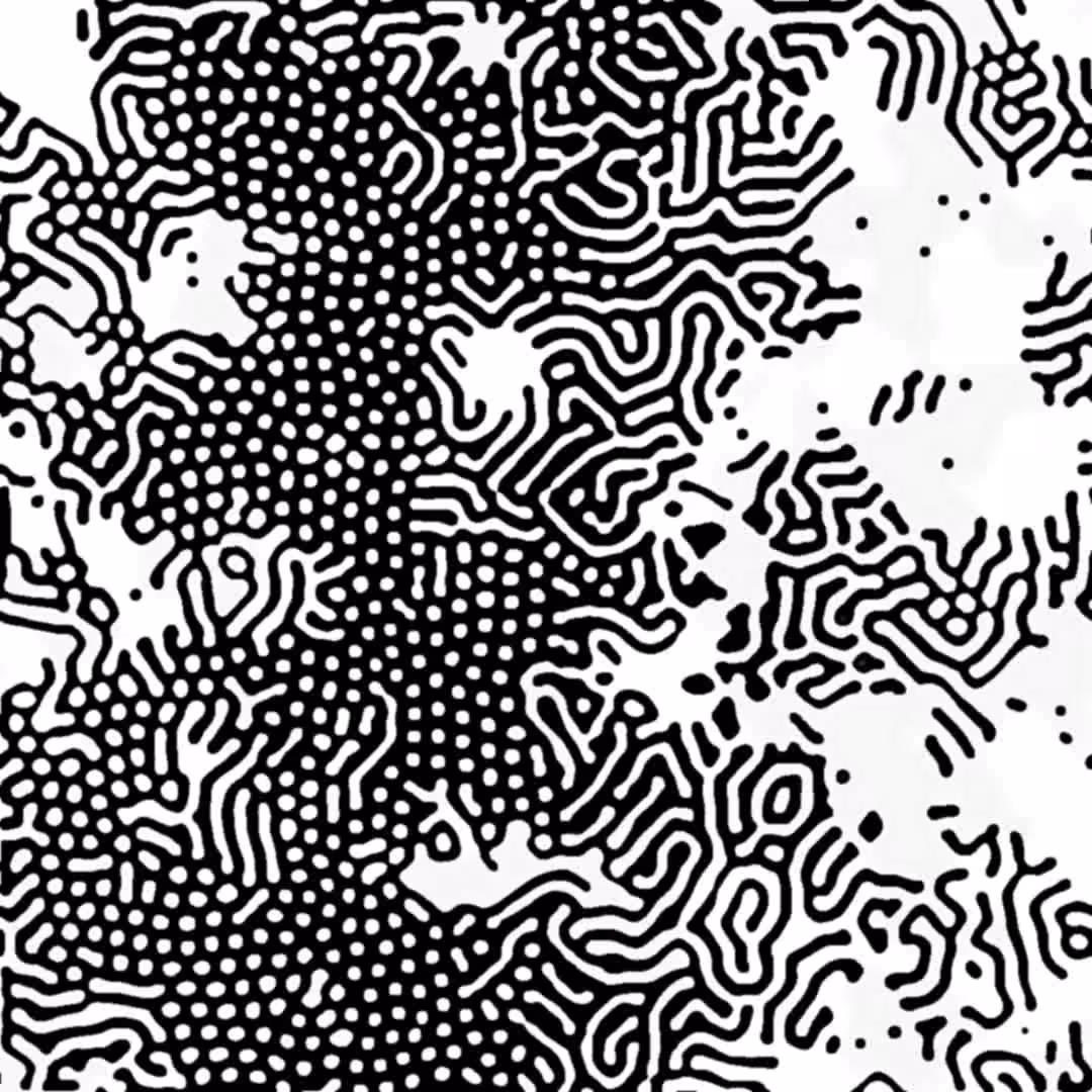 Is this art?