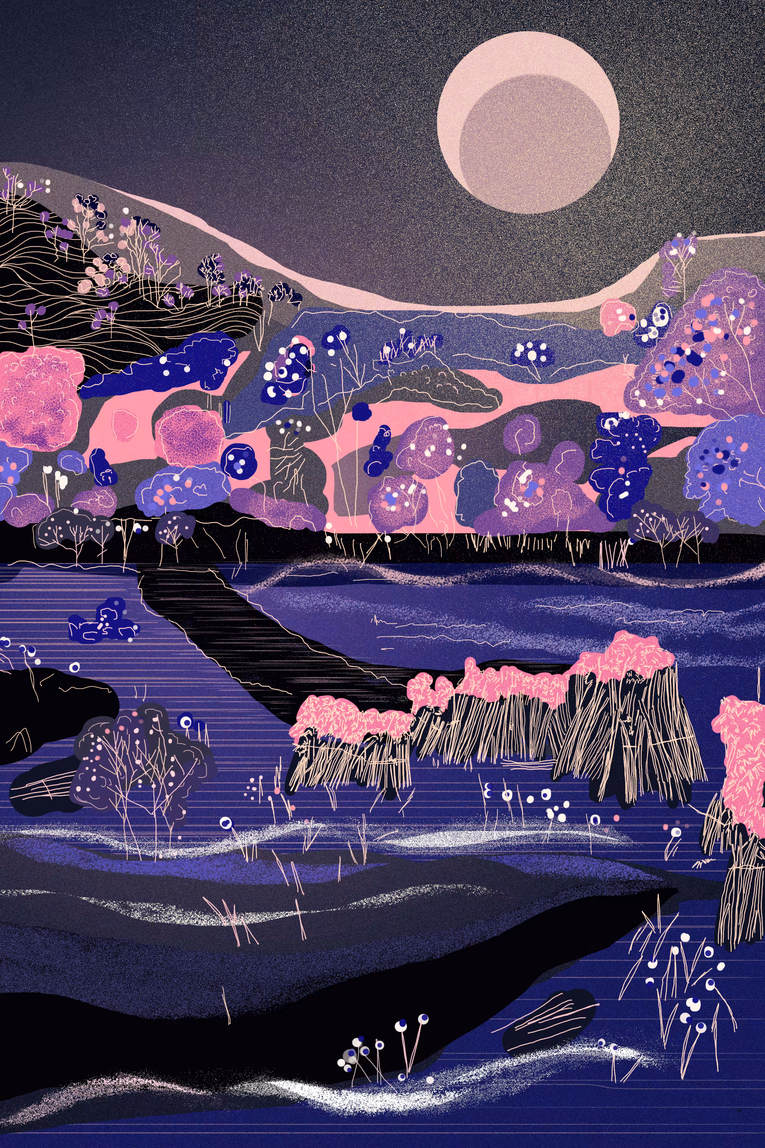 Blooming at the midnight blue