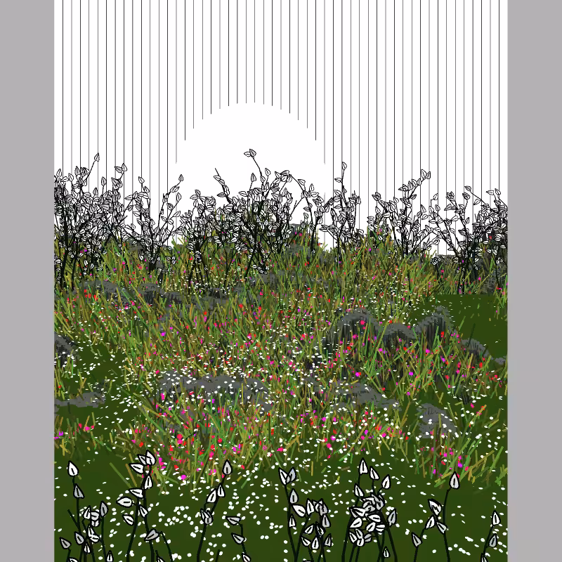 Contours #90