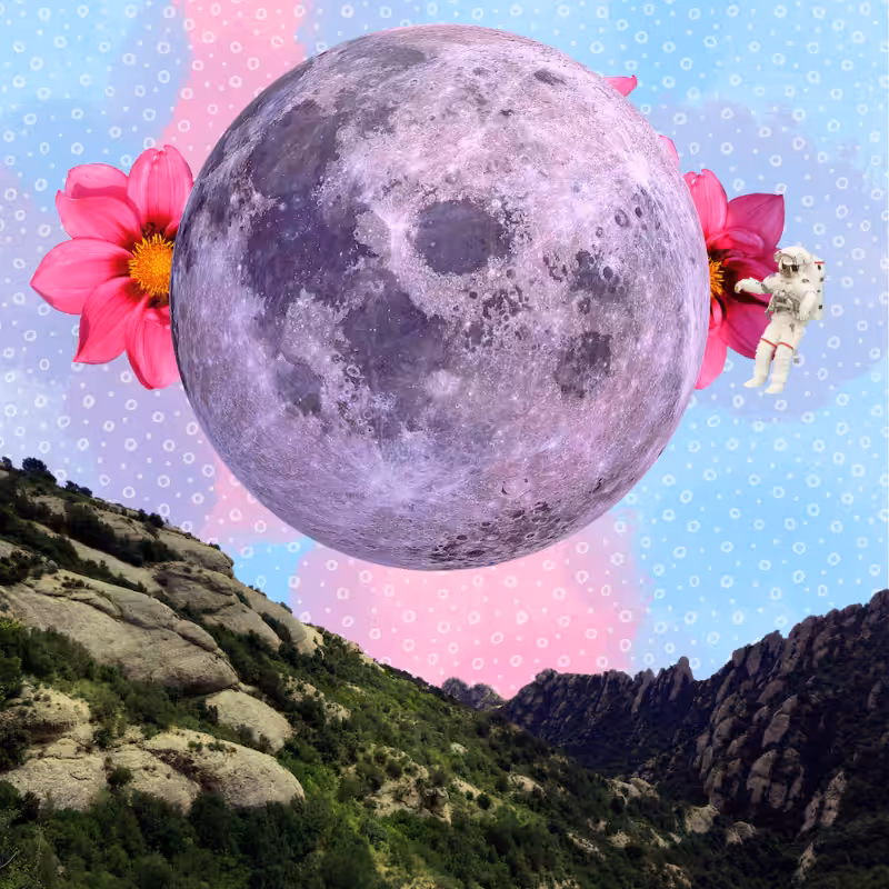Pink Moon #8