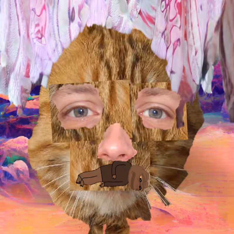 A collage of collages #174