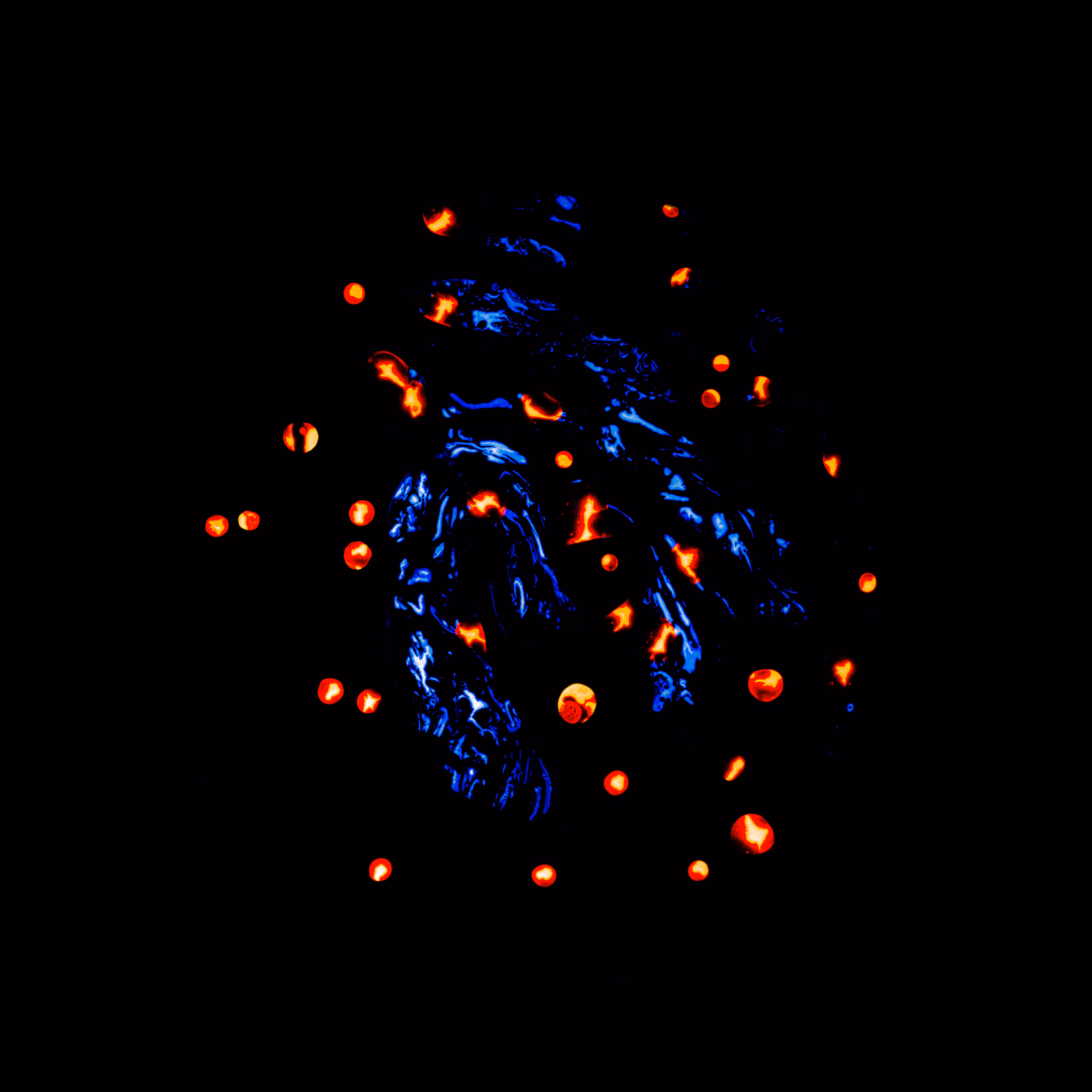 Haematopoiesis #226