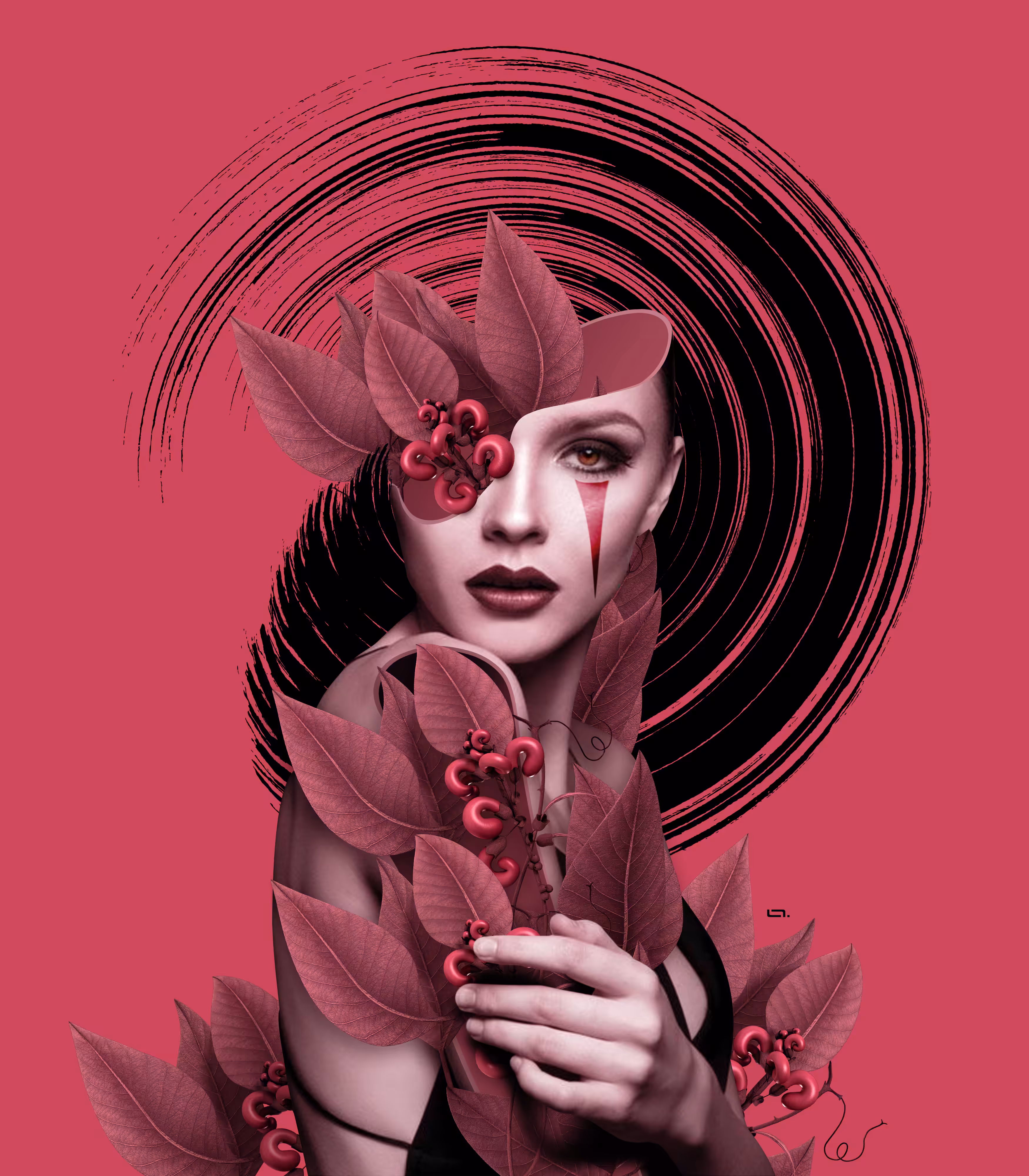 Florescer Rosa
