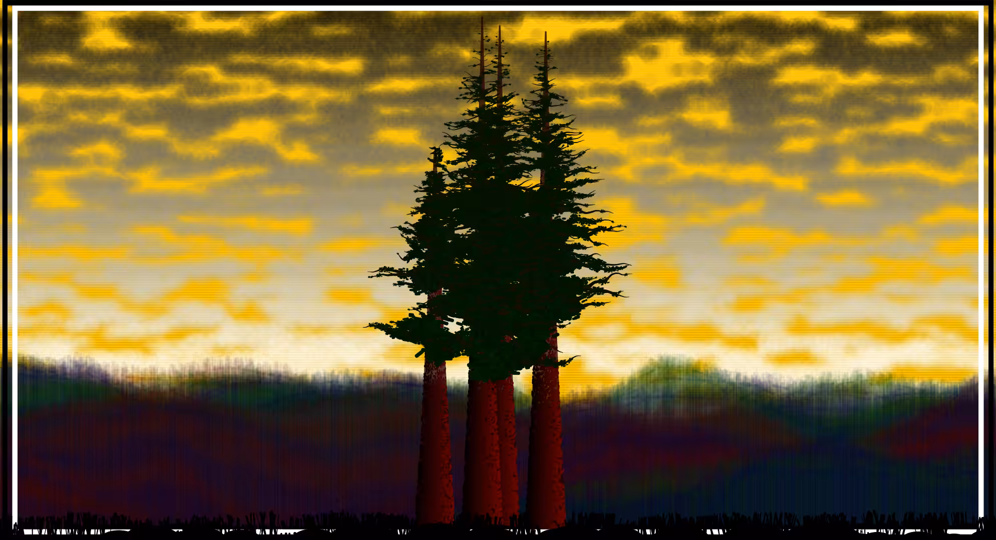 Sequoias #4