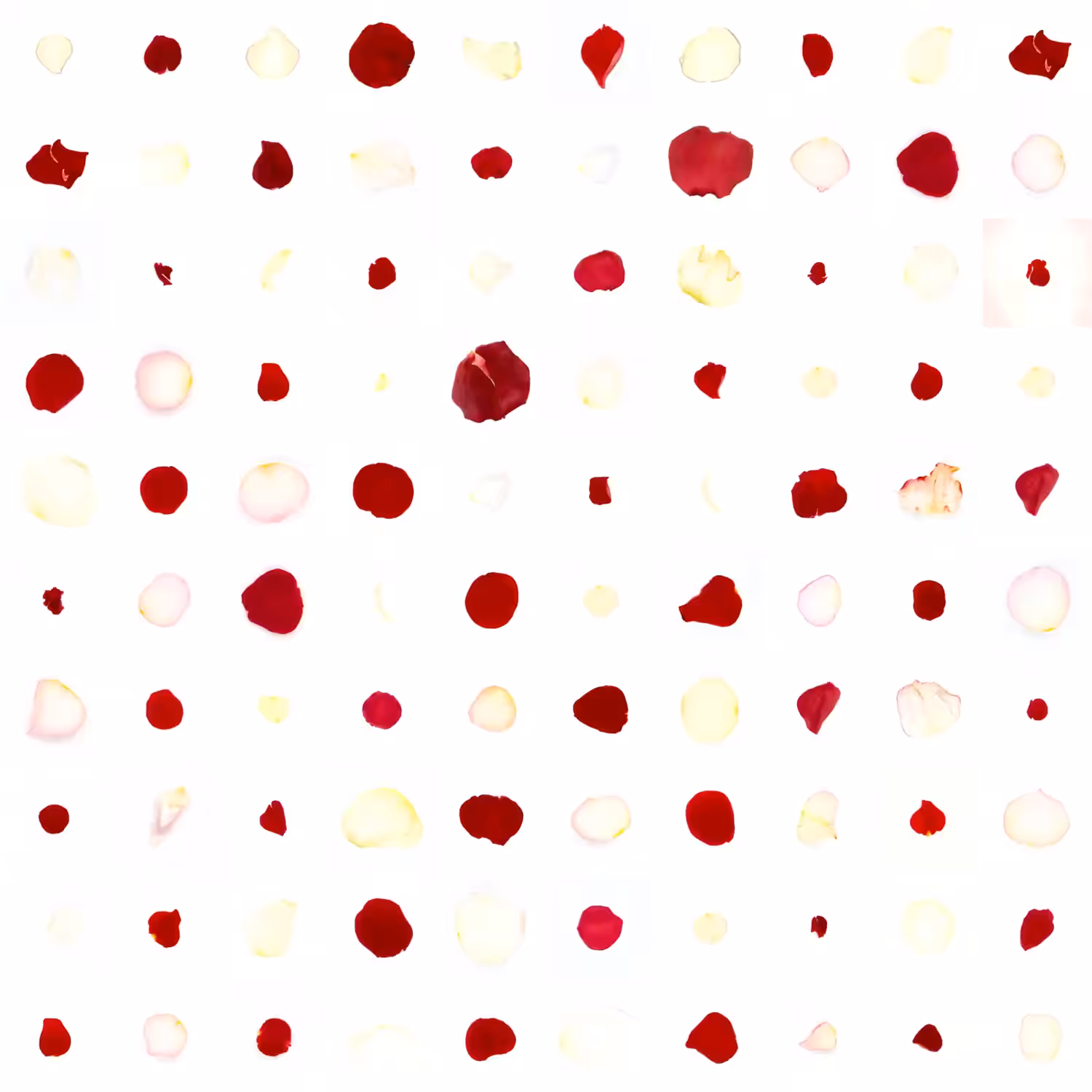 Infinite Petals 10x10#1522
