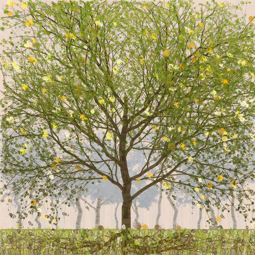 Orchard #28