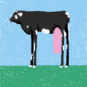cow #13
