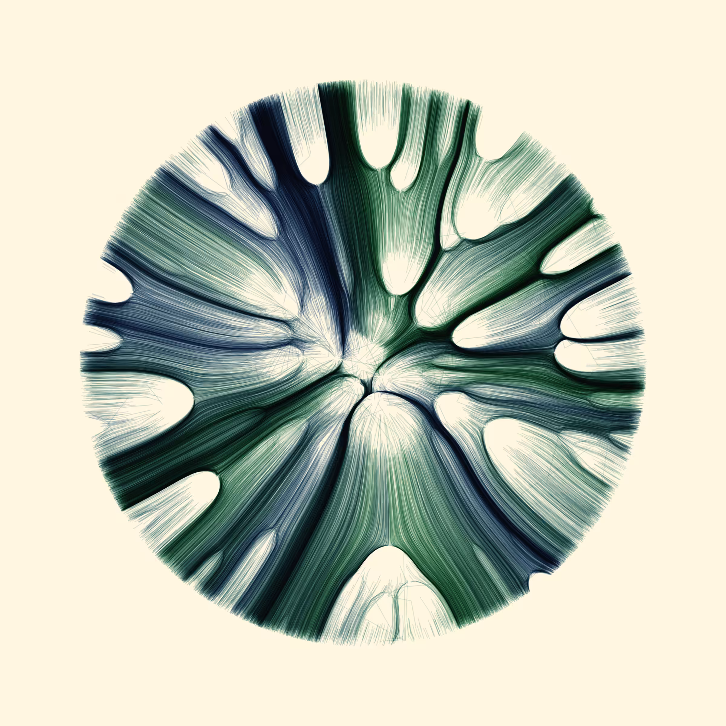 Gravity 12 #25