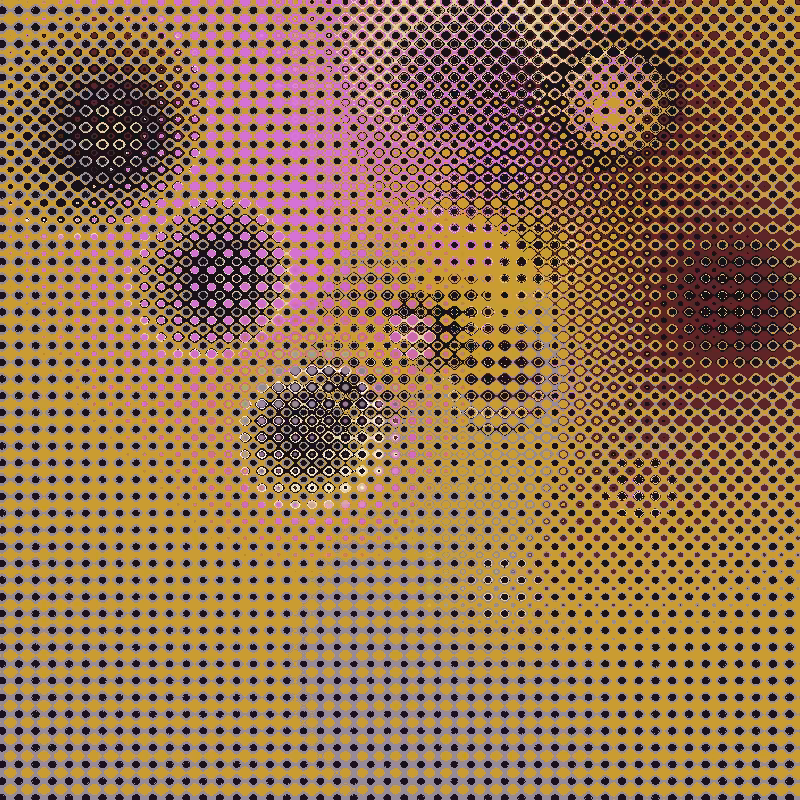 Focus #76
