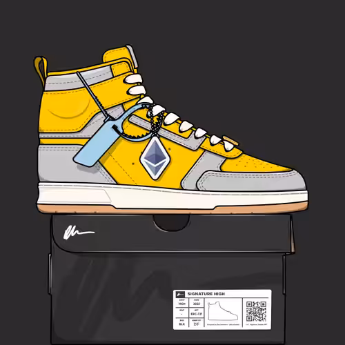 Signature Sneakers Highs #20