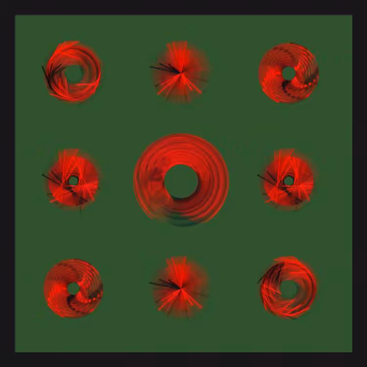Spiny Spinners #42