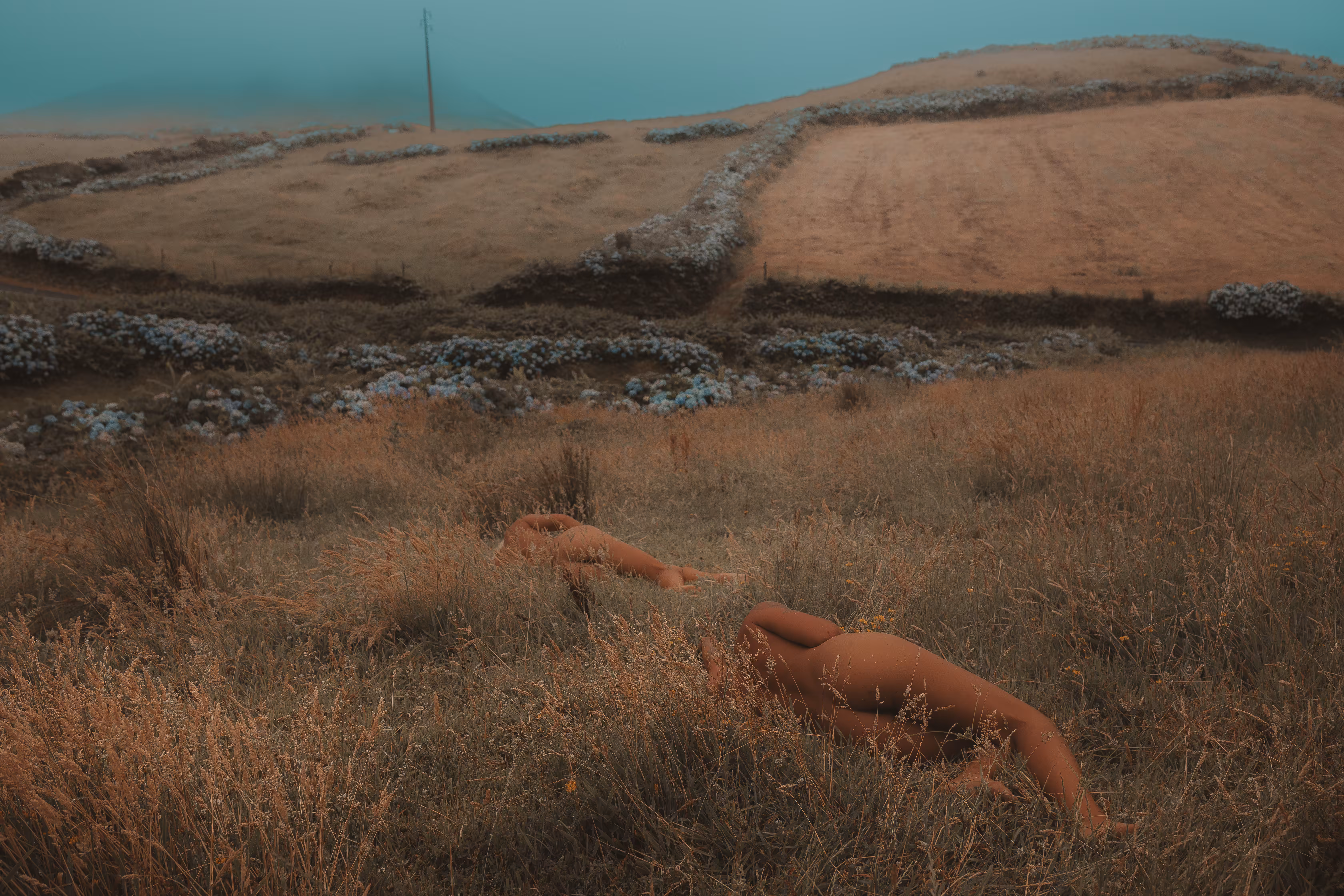 Cyan Valley