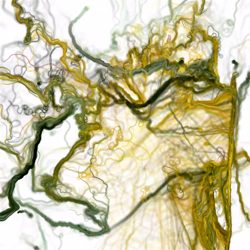 Hypericum #164