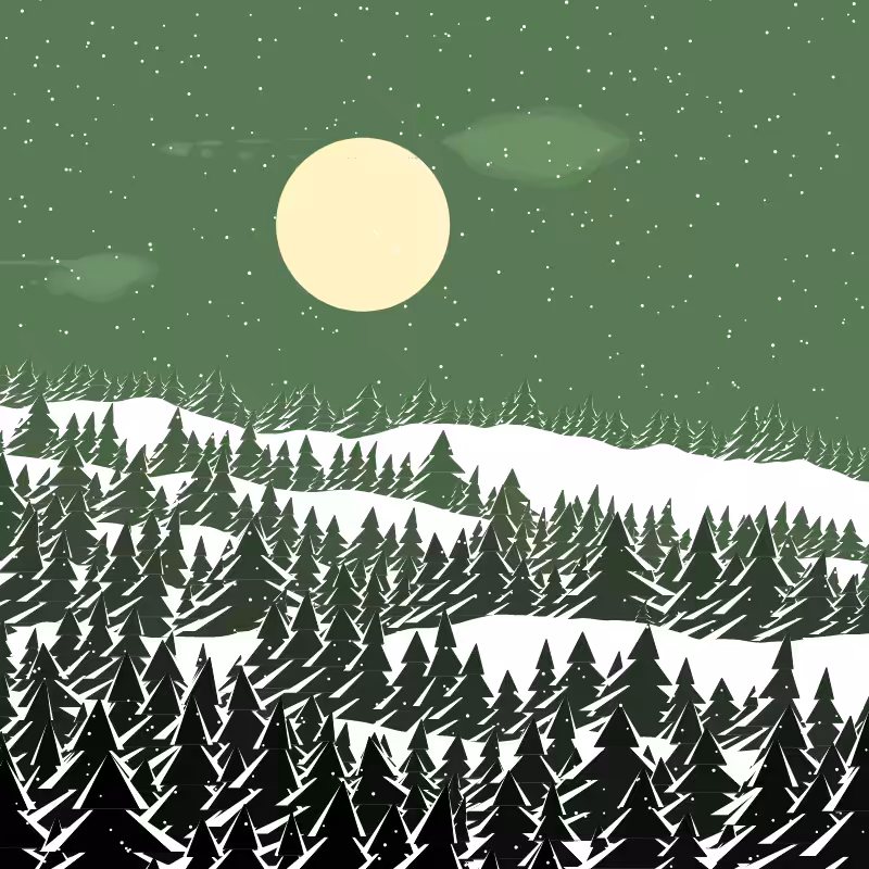 Winterland #165