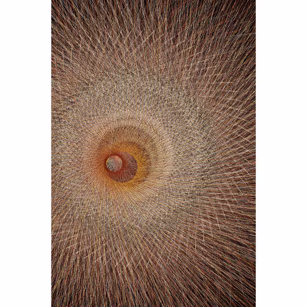 Ask Me About The Dimensional Shift #14