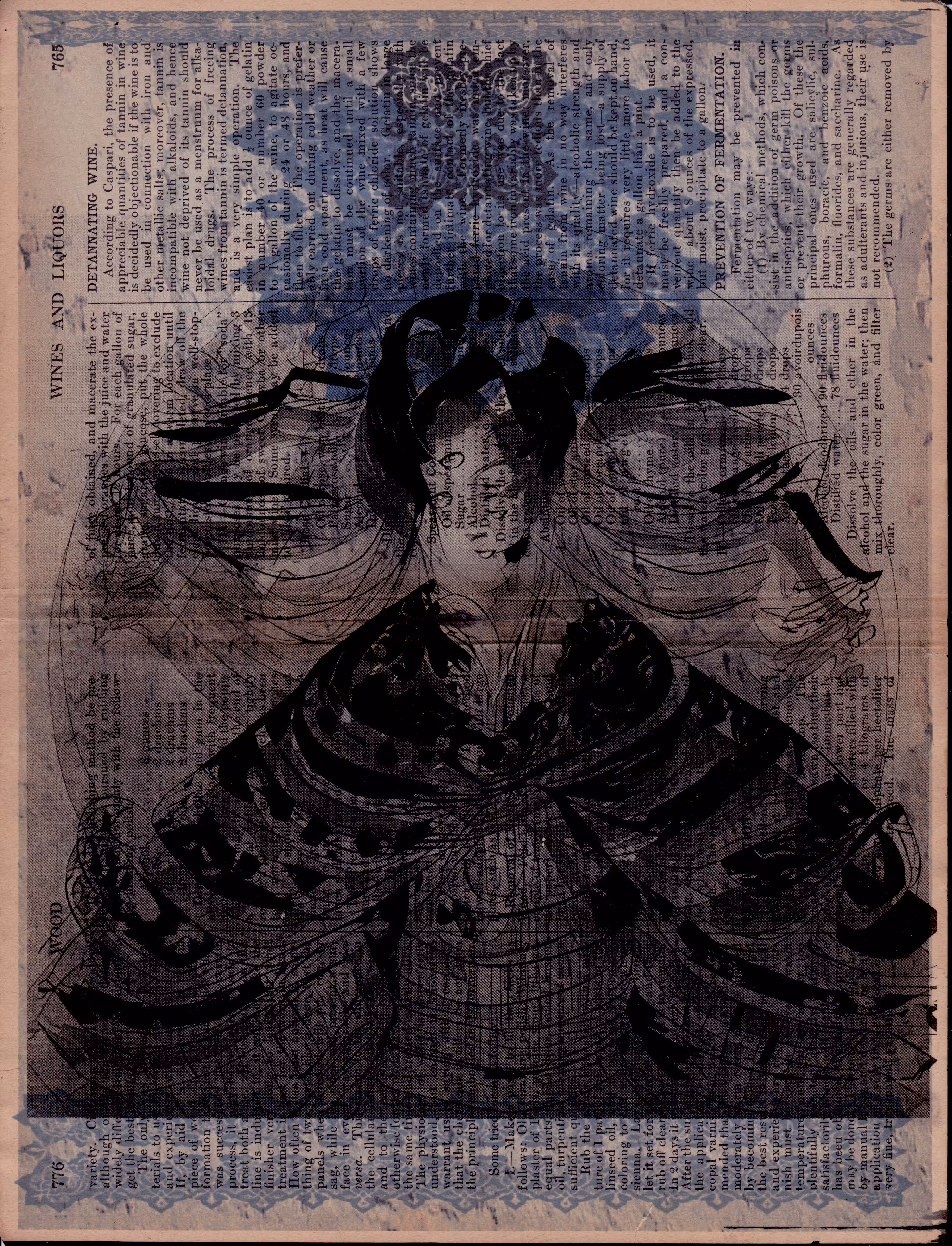 Guī•Japonica o28