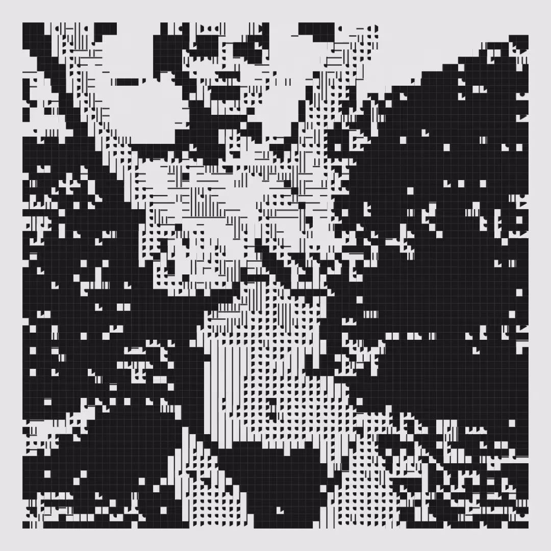 A.bit.confused: A.bit.comfused_DirtyData#5