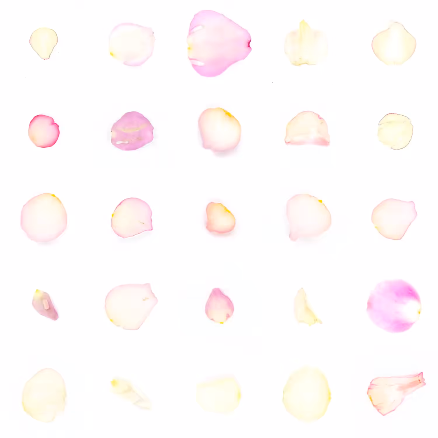 Infinite Petals 5x5#579