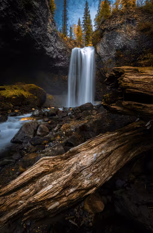 Terrestrial Flows