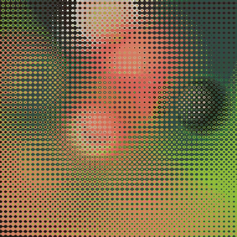 Focus #81