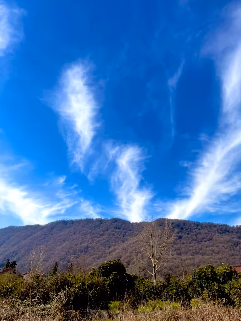 The Happy Valley: heaven