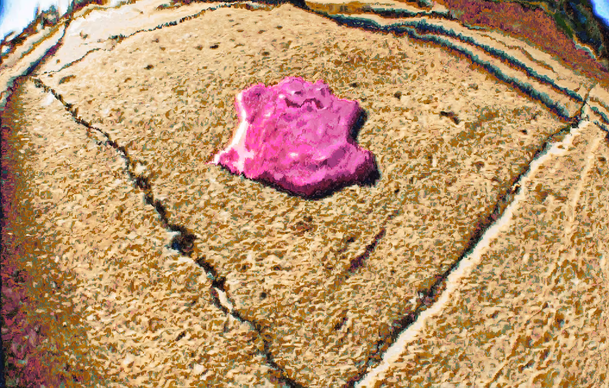 a piece of gum baking in the sun